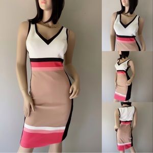 Sleeveless Color Block Sheath Dress PETITE
